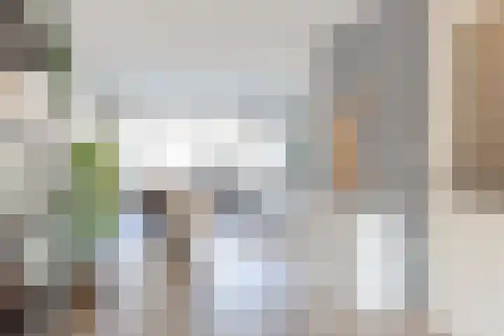 Kalmoes 2 Drachten thumbnail 5
