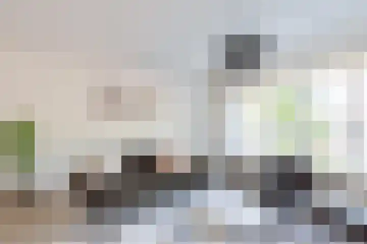 Kalmoes 2 Drachten thumbnail 8