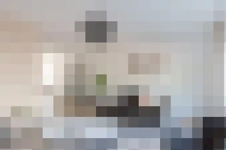 Kalmoes 2 Drachten thumbnail 9