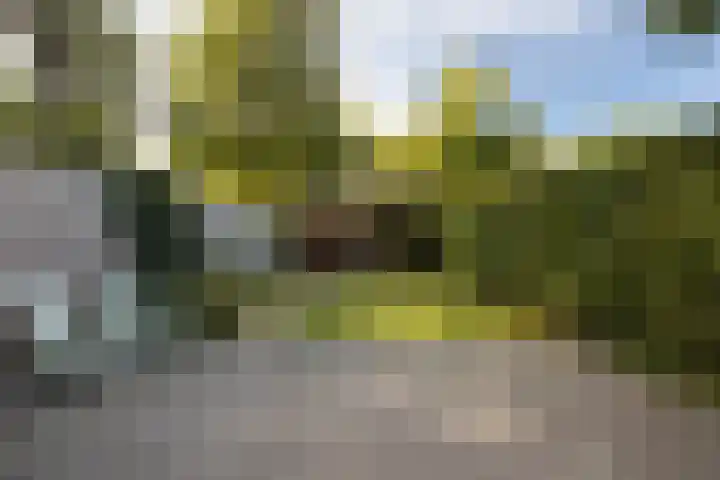 Kalmoes 2 Leeuwarden thumbnail 18