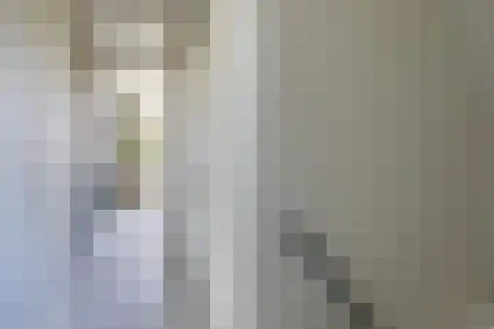 Kalmoes 2 Leeuwarden thumbnail 27