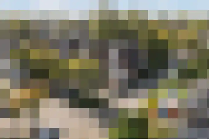 Kalmoes 2 Leeuwarden thumbnail 37