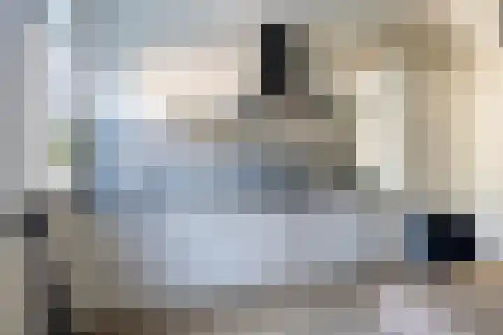 Kalmoes 2 Leeuwarden thumbnail 5