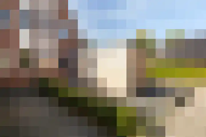 Kalmoes 2 Leeuwarden thumbnail 7