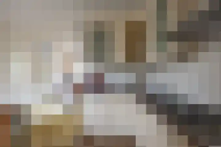 Kalmoes 20 Zuidhorn thumbnail 10