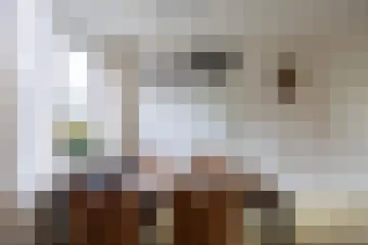 Kalmoes 20 Zuidhorn thumbnail 11