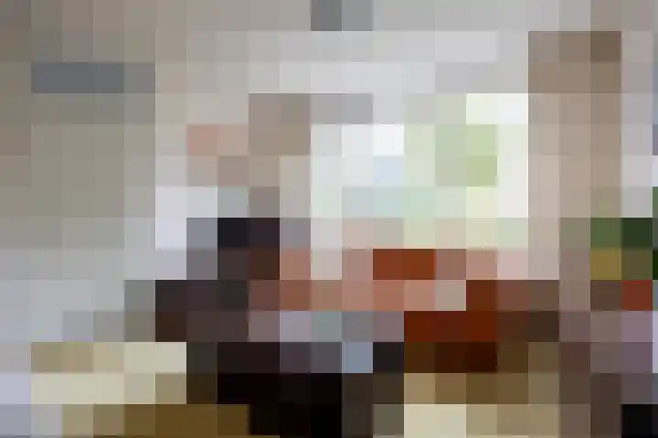 Kalmoes 20 Zuidhorn thumbnail 12