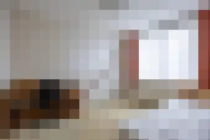 Kalmoes 20 Zuidhorn thumbnail 19
