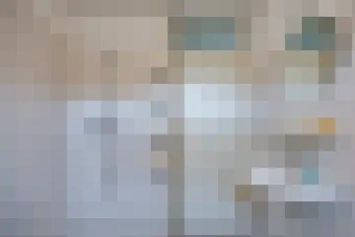 Kalmoes 20 Zuidhorn thumbnail 22