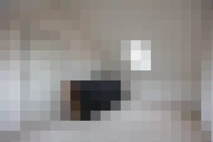 Kalmoes 20 Zuidhorn thumbnail 24