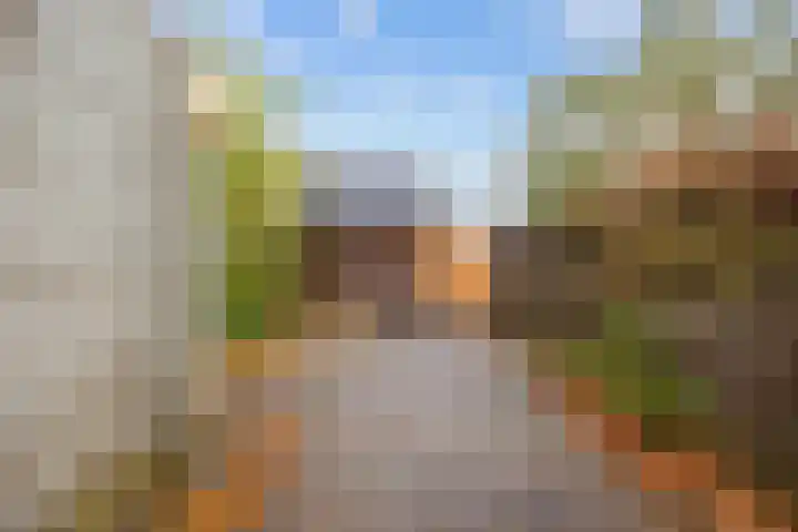 Kalmoes 20 Zuidhorn thumbnail 26