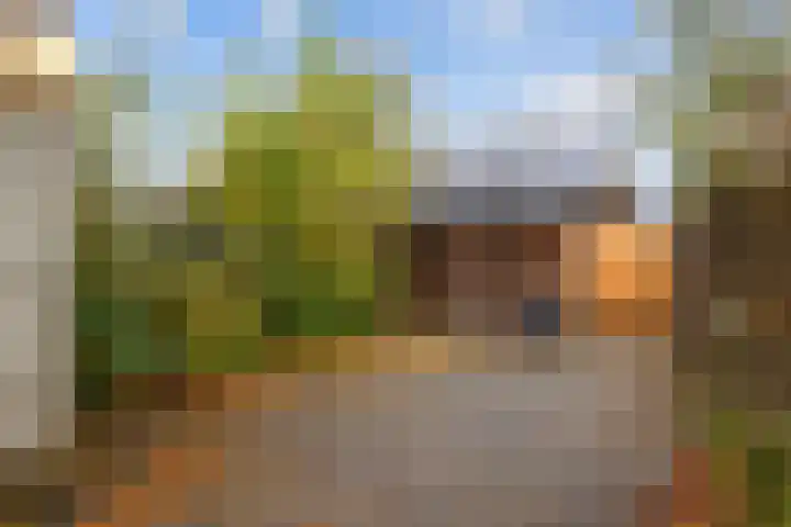 Kalmoes 20 Zuidhorn thumbnail 27