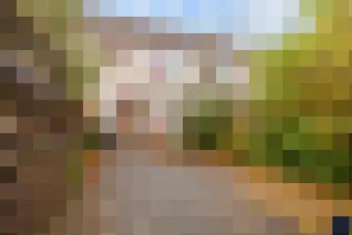 Kalmoes 20 Zuidhorn thumbnail 28