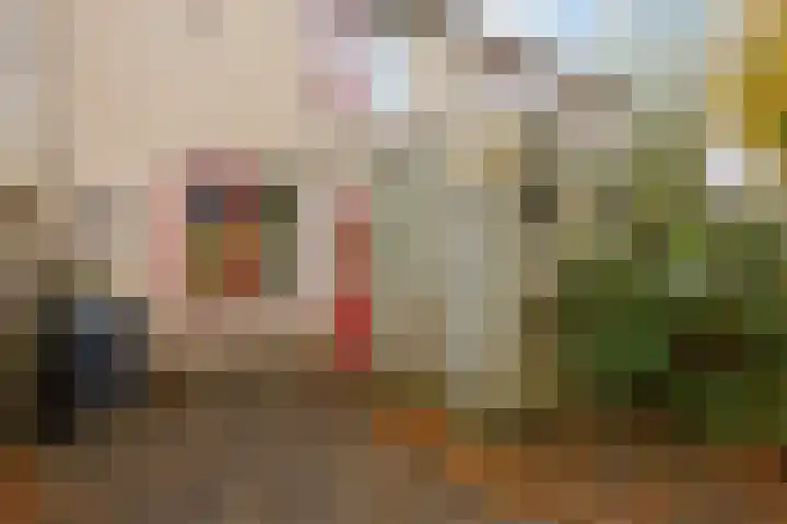 Kalmoes 20 Zuidhorn thumbnail 29