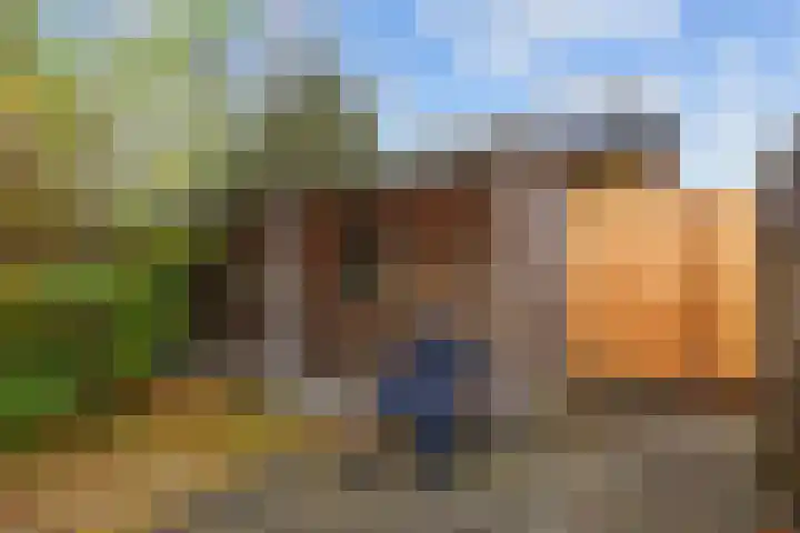 Kalmoes 20 Zuidhorn thumbnail 30