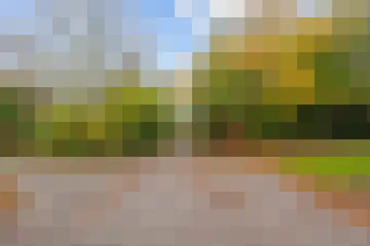 Kalmoes 20 Zuidhorn thumbnail 6