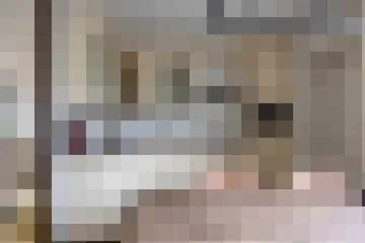 Kalmoes 20 Zuidhorn thumbnail 9