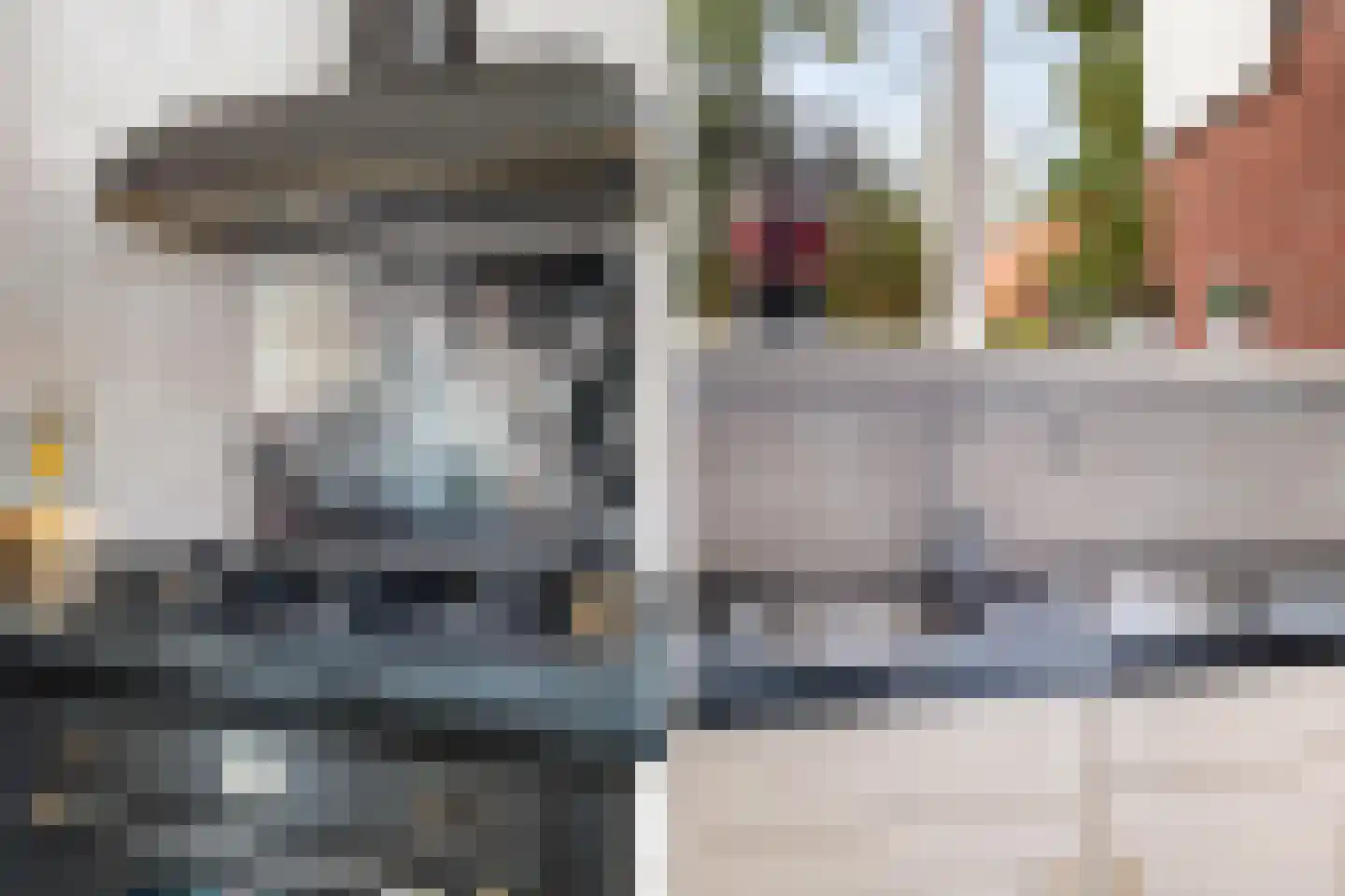 Kalmoes 22 Naaldwijk thumbnail 11