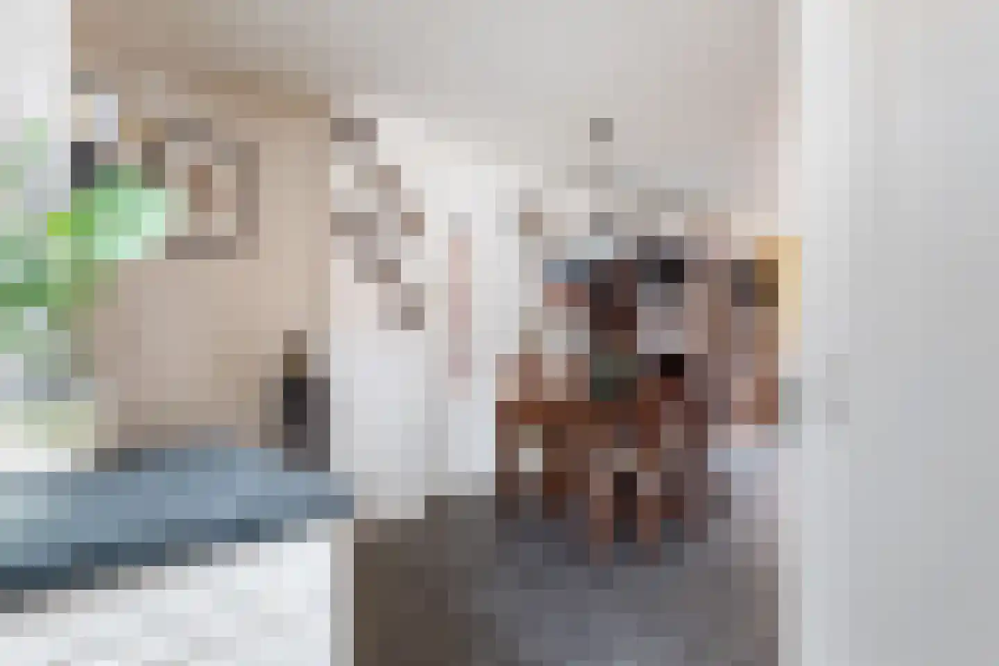 Kalmoes 22 Naaldwijk thumbnail 12
