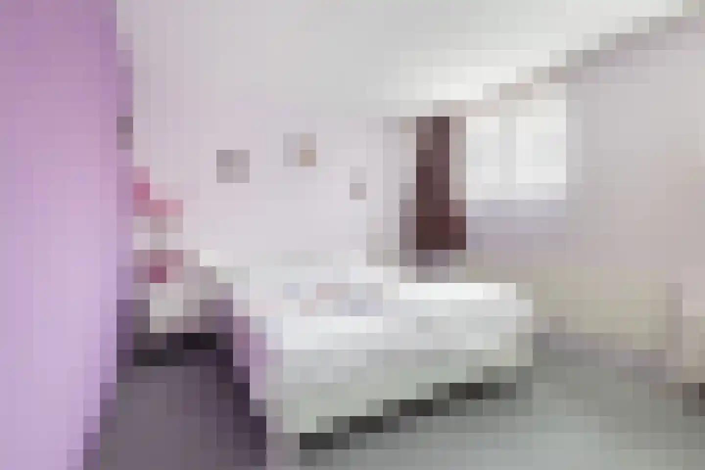 Kalmoes 22 Naaldwijk thumbnail 16