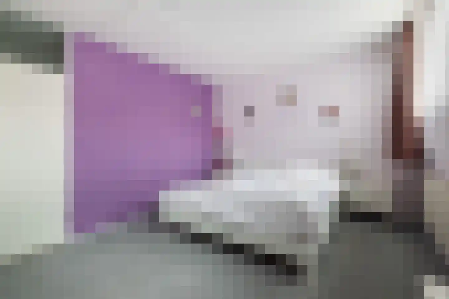 Kalmoes 22 Naaldwijk thumbnail 17
