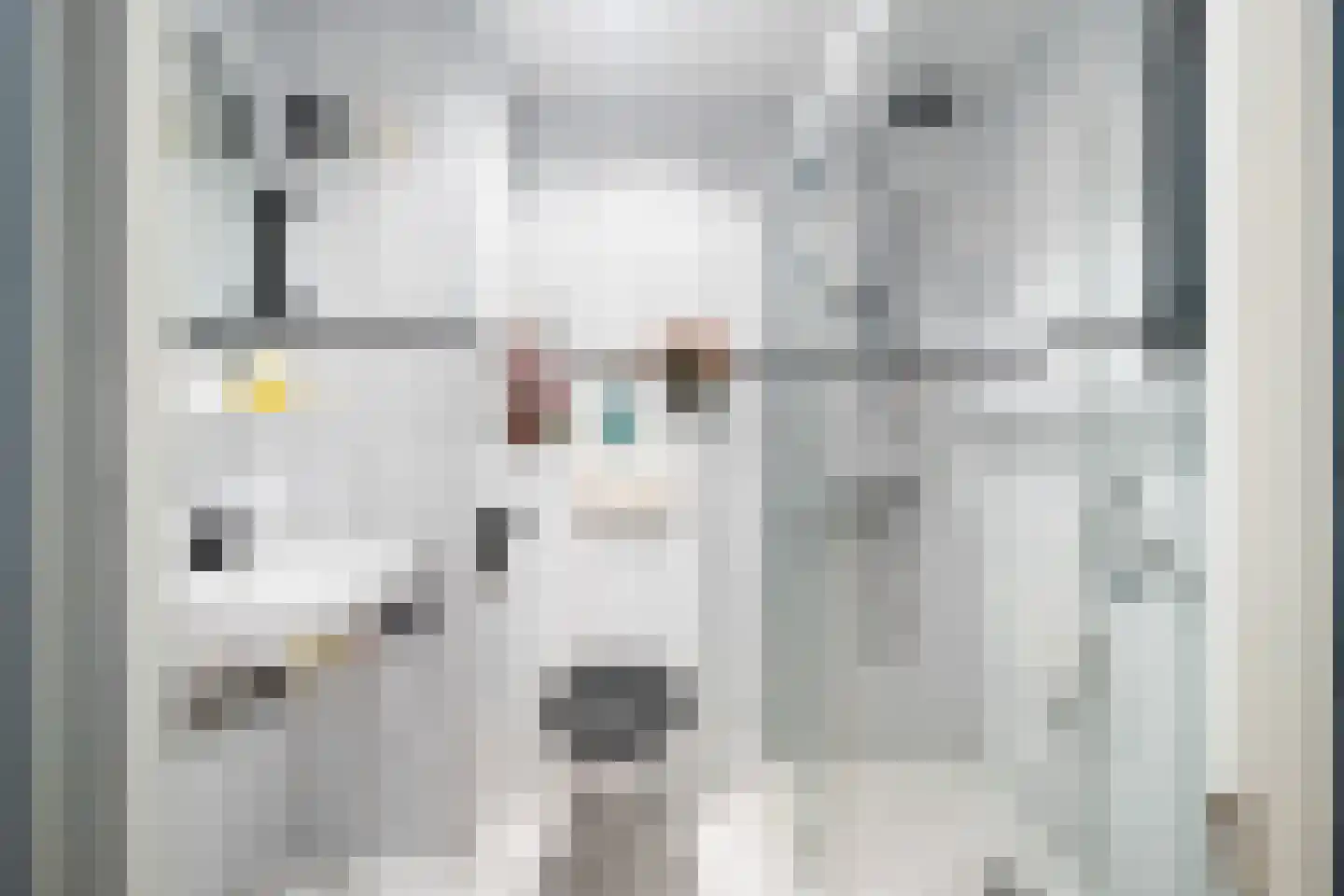 Kalmoes 22 Naaldwijk thumbnail 20