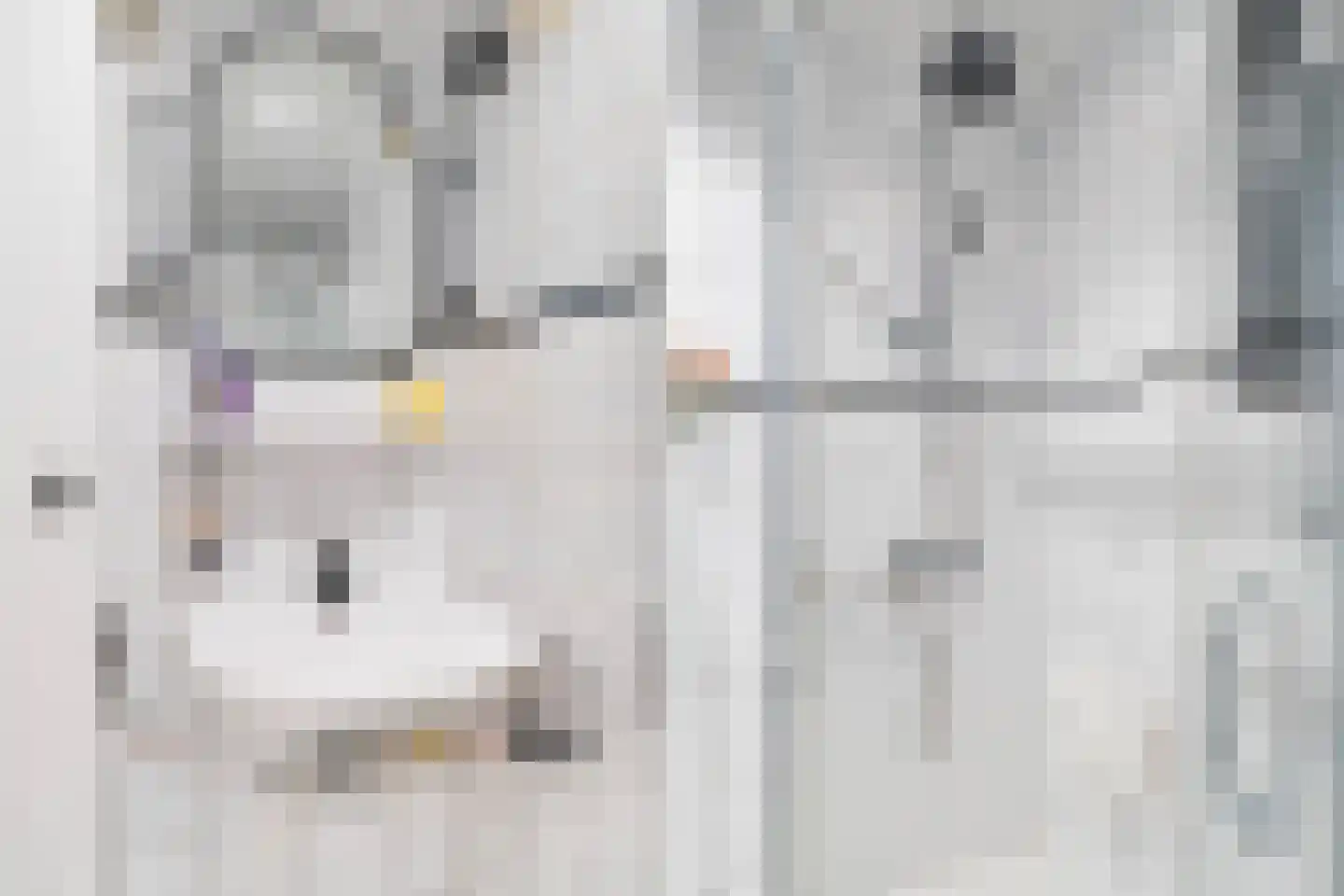 Kalmoes 22 Naaldwijk thumbnail 21