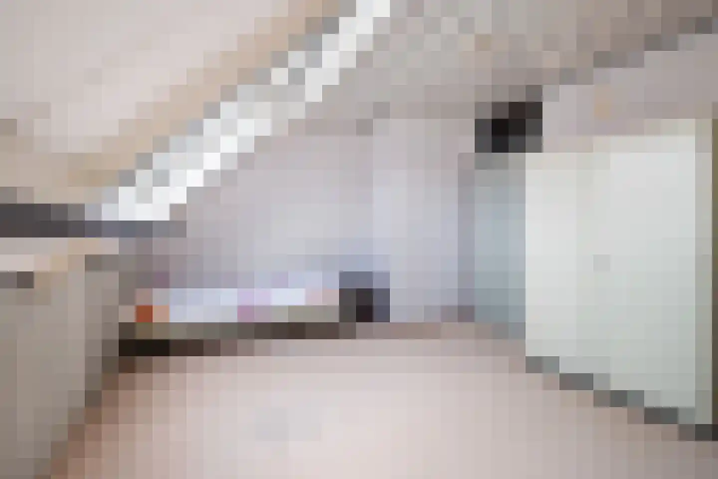 Kalmoes 22 Naaldwijk thumbnail 28