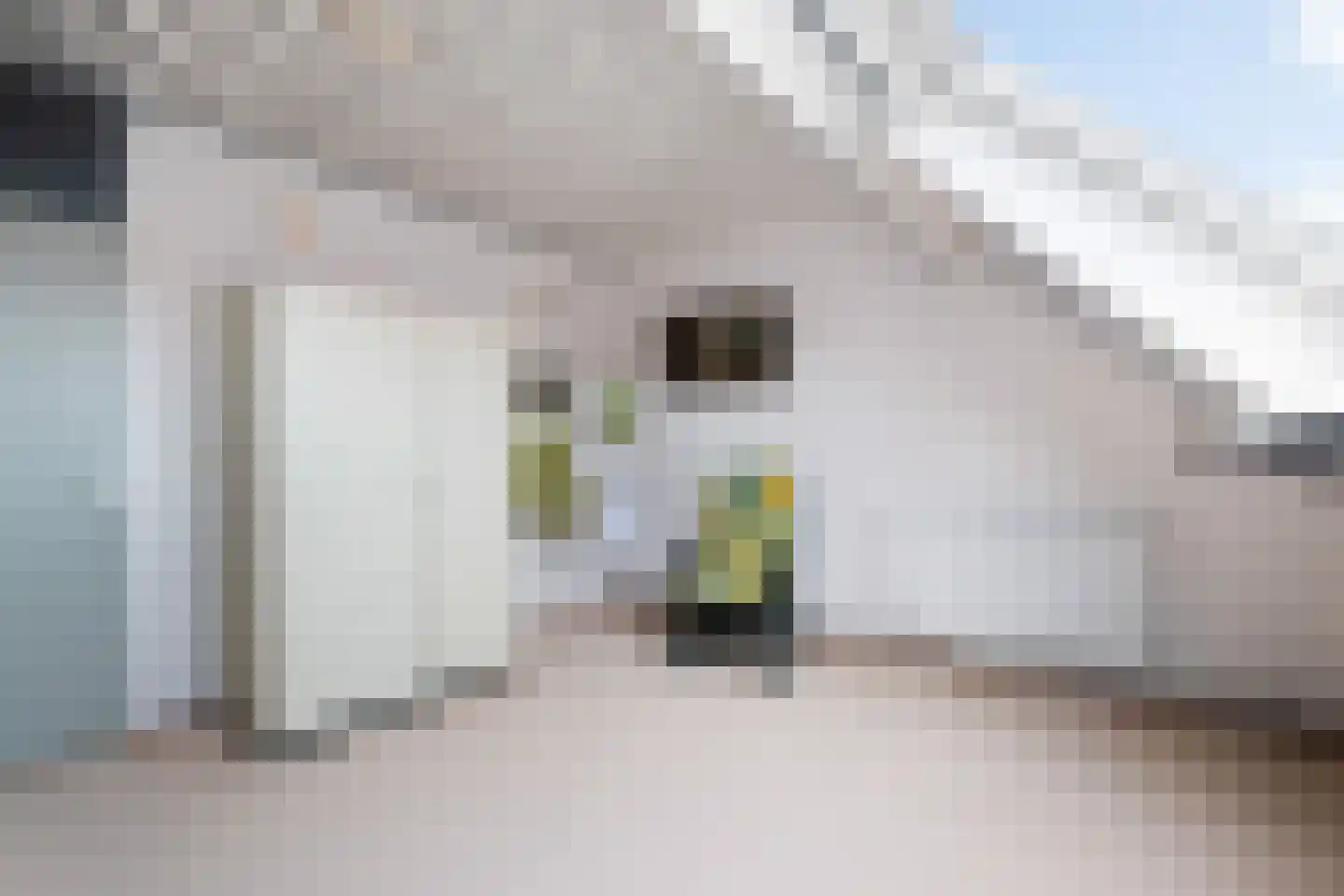 Kalmoes 22 Naaldwijk thumbnail 29