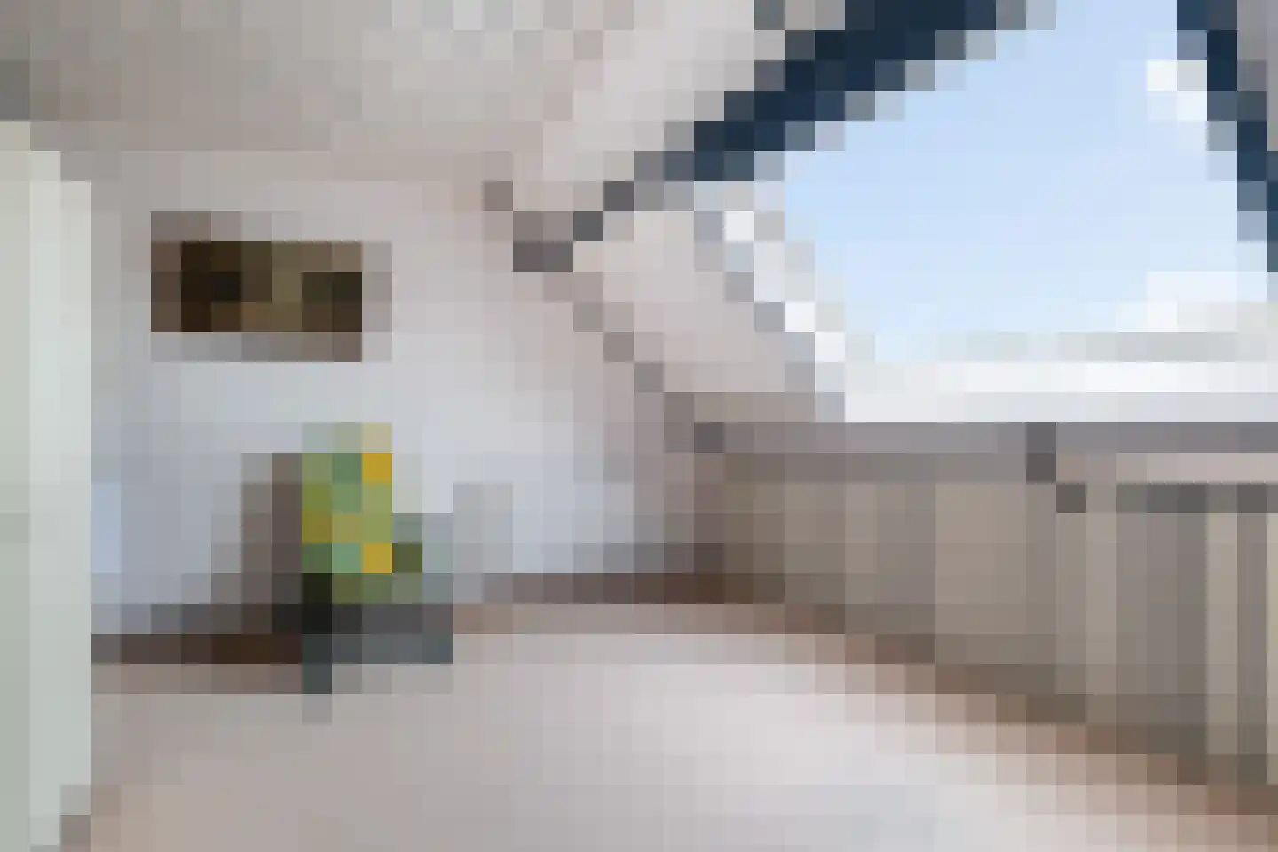 Kalmoes 22 Naaldwijk thumbnail 30