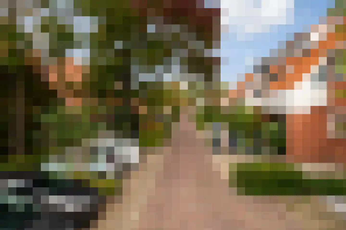 Kalmoes 22 Naaldwijk thumbnail 35
