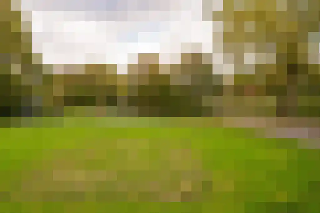 Kalmoes 22 Naaldwijk thumbnail 38