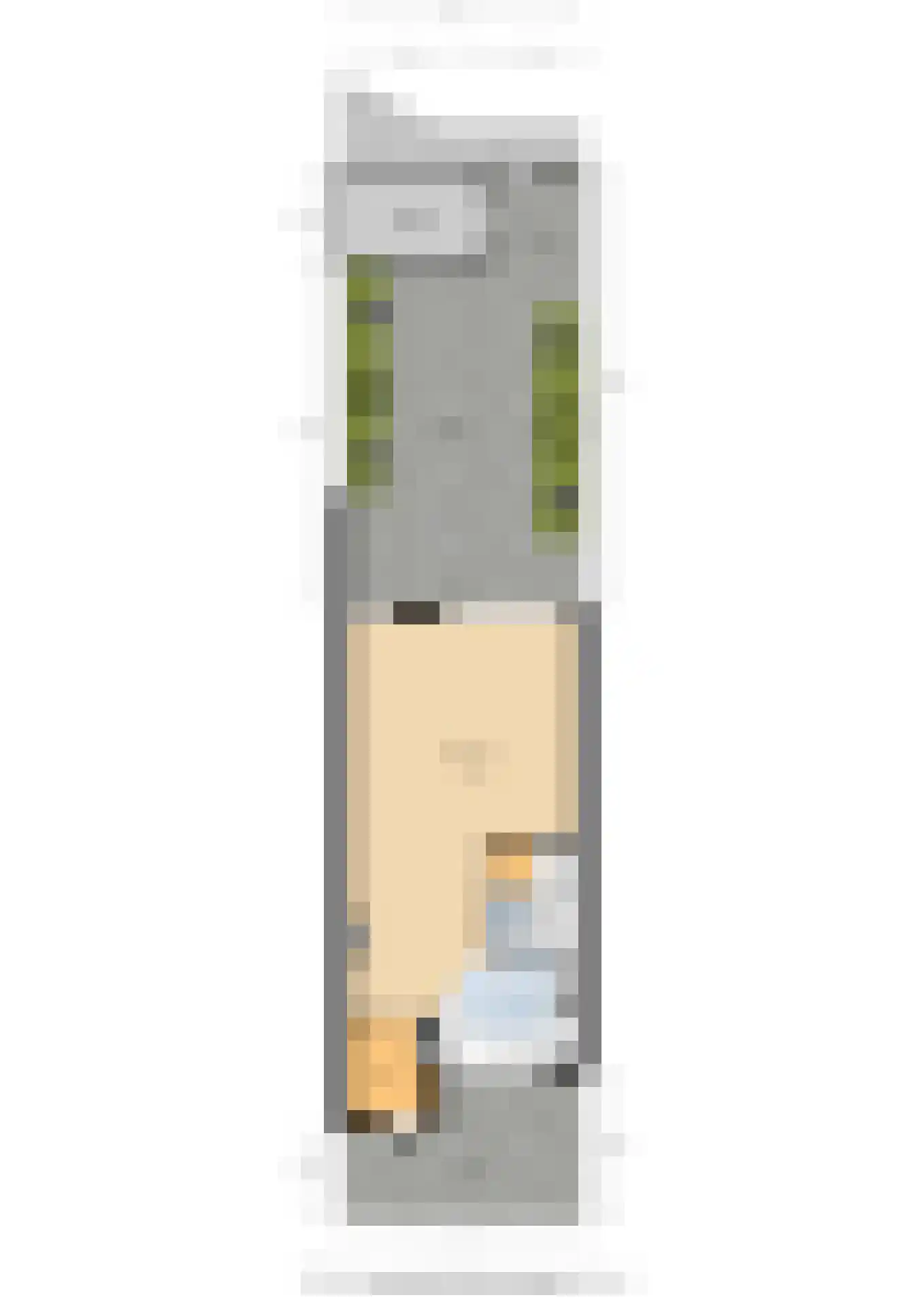 Kalmoes 22 Naaldwijk thumbnail 41