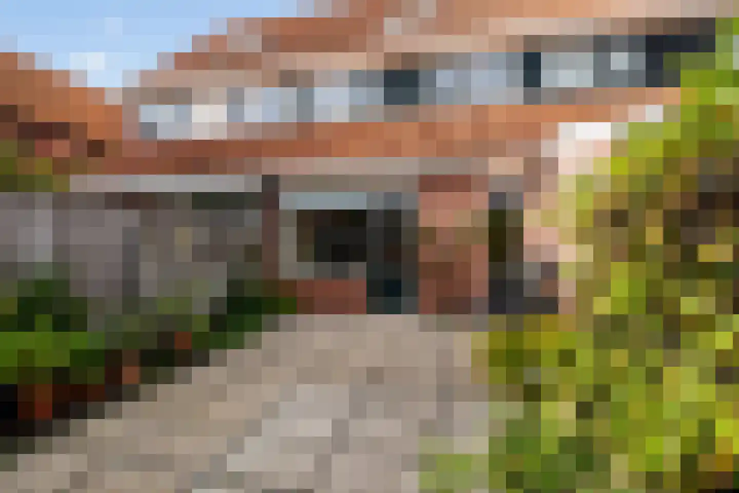 Kalmoes 22 Naaldwijk thumbnail 5