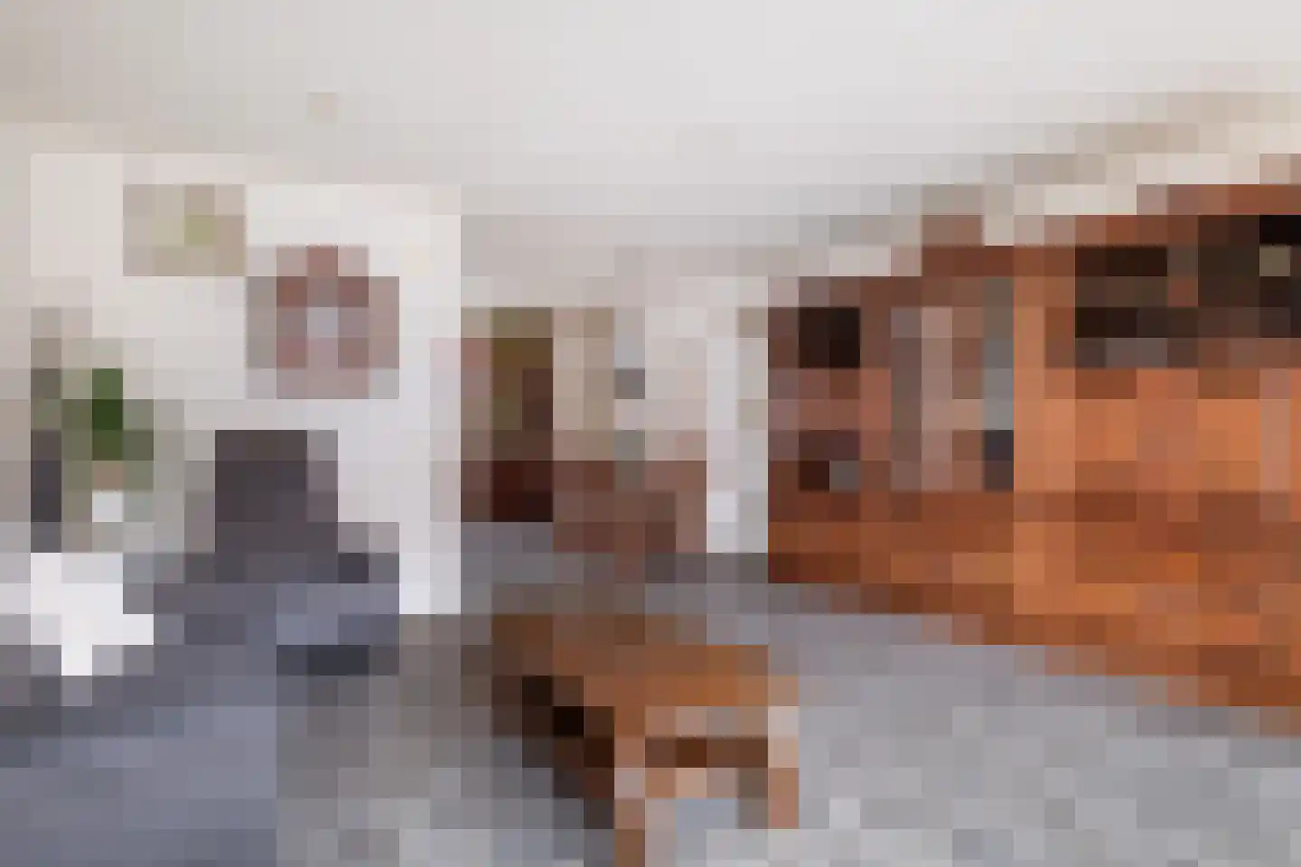 Kalmoes 22 Naaldwijk thumbnail 7