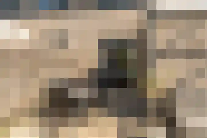 Kalmoes 24 Drachten thumbnail 10