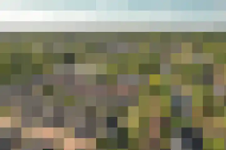 Kalmoes 24 Drachten thumbnail 12
