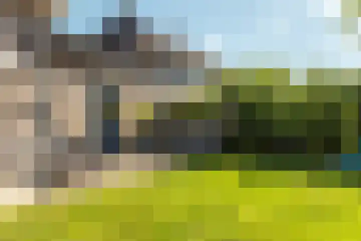 Kalmoes 24 Drachten thumbnail 14