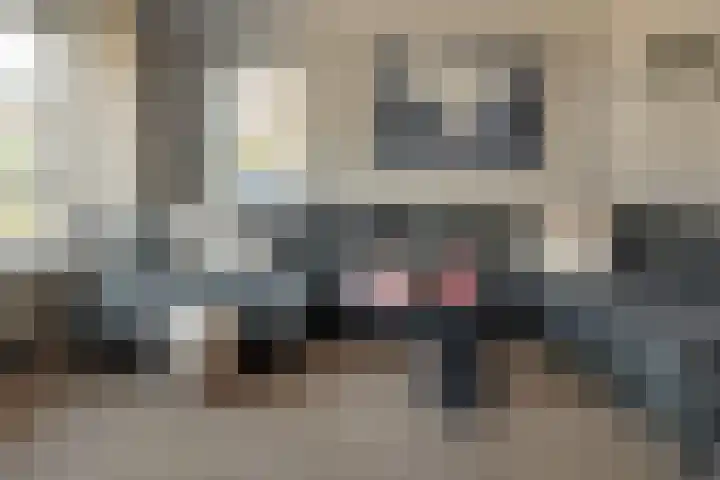 Kalmoes 24 Drachten thumbnail 17