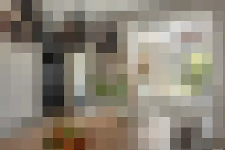 Kalmoes 24 Drachten thumbnail 23