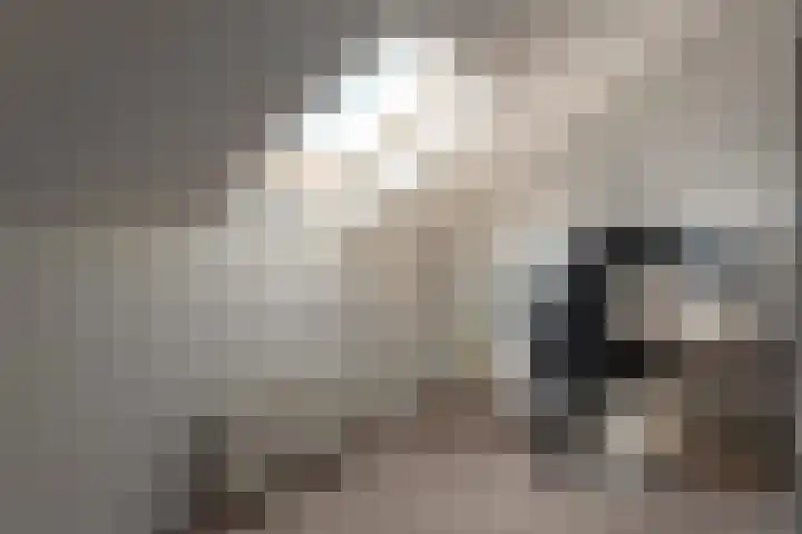 Kalmoes 24 Drachten thumbnail 37