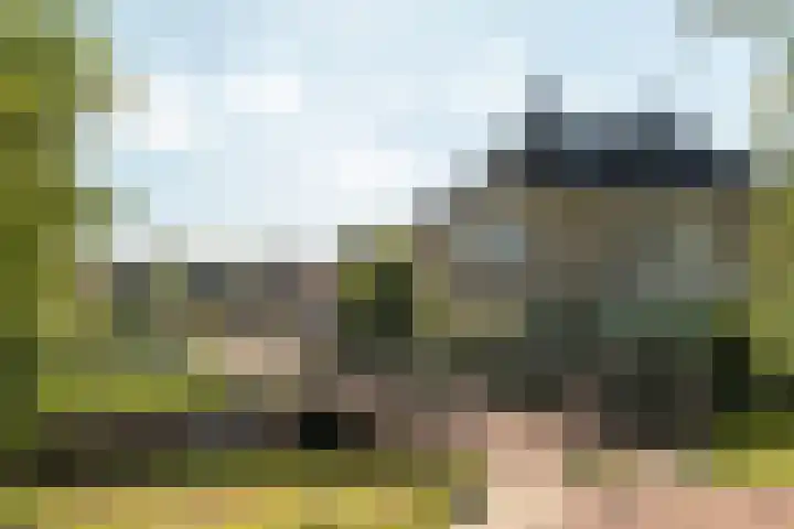 Kalmoes 24 Drachten thumbnail 4