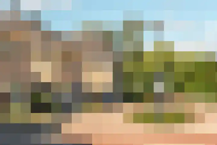 Kalmoes 24 Drachten thumbnail 5