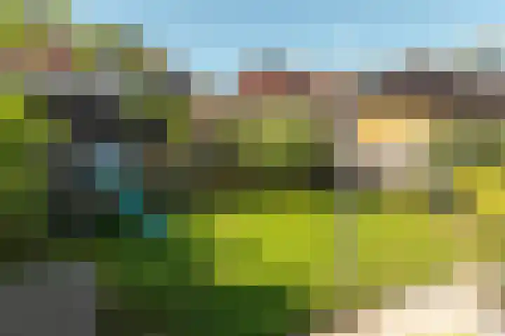 Kalmoes 24 Drachten thumbnail 6