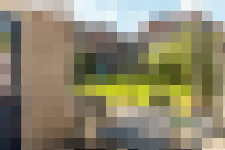 Kalmoes 24 Drachten thumbnail 7