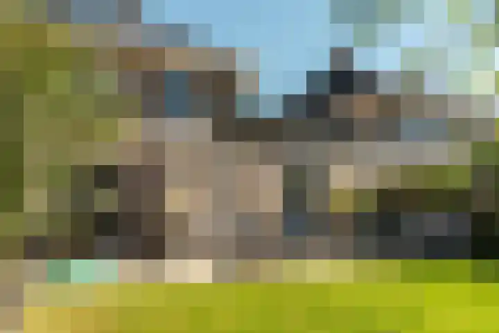 Kalmoes 24 Drachten thumbnail 8