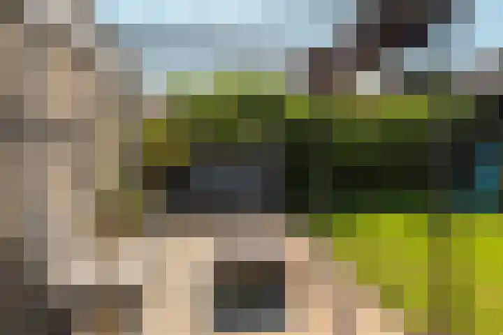 Kalmoes 24 Drachten thumbnail 9