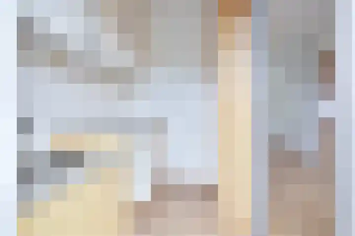 Kalmoes 24 Sint-Oedenrode thumbnail 13