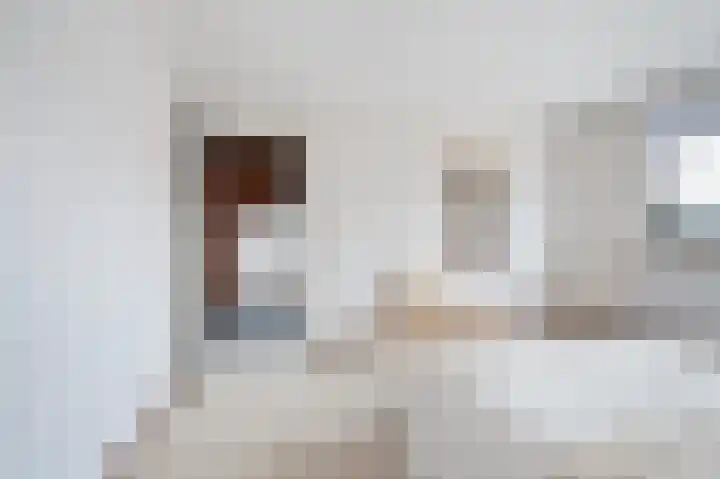 Kalmoes 24 Sint-Oedenrode thumbnail 17