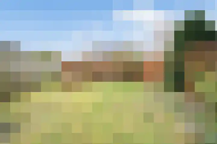 Kalmoes 24 Sint-Oedenrode thumbnail 24